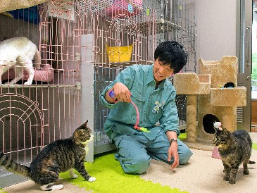 街中の動物愛護センターを杉本彩さんが紹介　「存在を知って」