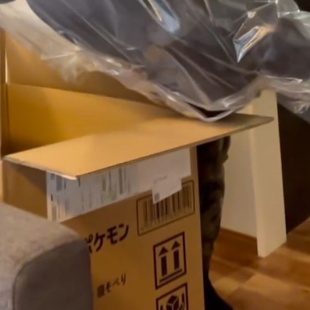 段ボール箱から出てきたのは70cm超の等身大ブラッキーのぬいぐるみ／まなみさん（@met_manami）提供