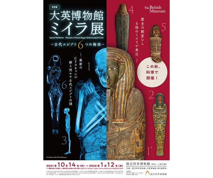 大英博物館ミイラ展 古代エジプト６つの物語 開催決定 お知らせ 朝日新聞社の会社案内