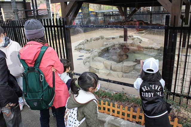 幸せそうなカピバラの姿に足を止める来園者