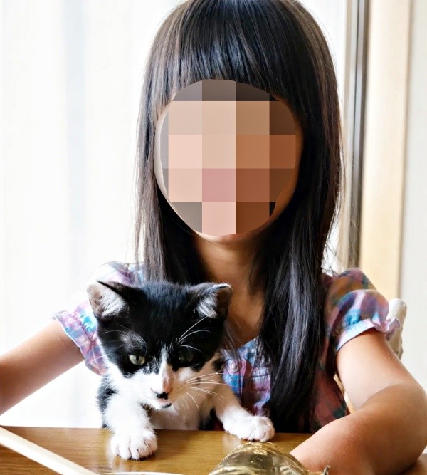 子猫時代、お姉ちゃんの膝上で前のめりになるハナちゃん（画像提供：Ai Tannoさん）