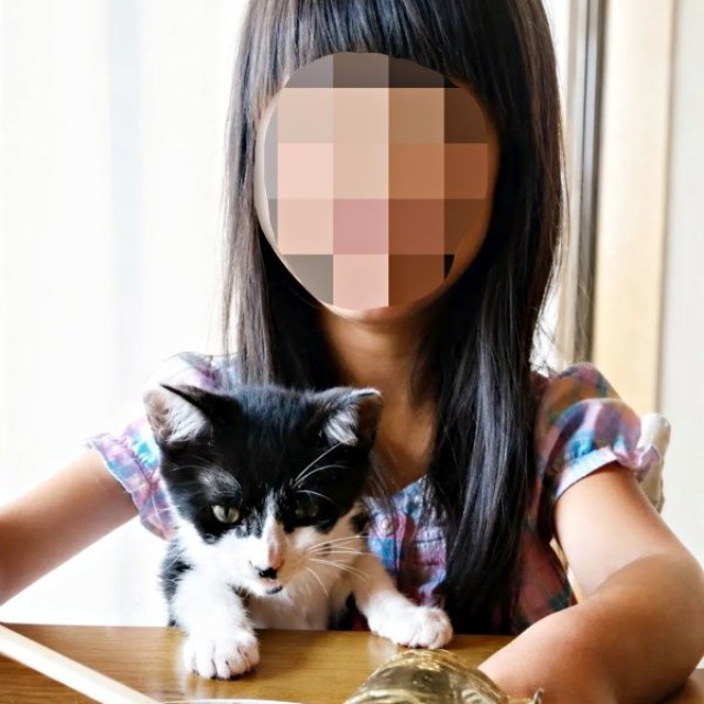 子猫時代、お姉ちゃんの膝上で前のめりになるハナちゃん（画像提供：Ai Tannoさん）