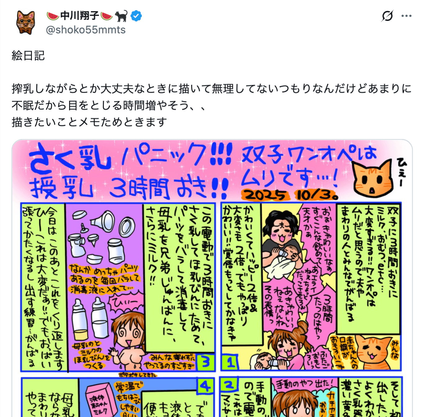 中川翔子（@shoko55mmts）さんのXより