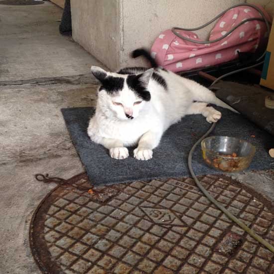 以前は駐車場に暮らしていて（増田さん提供）