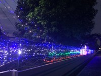 幻想的なライトアップが楽しめるのは9月中旬まで（提供）