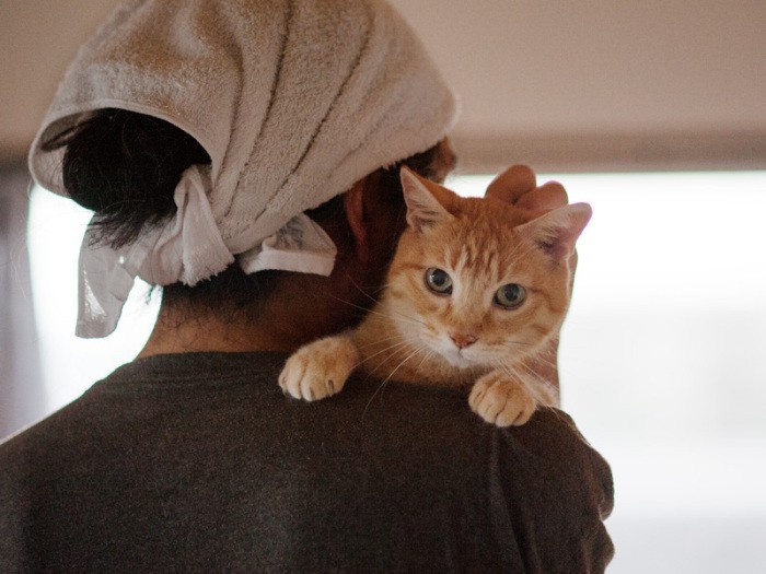 「人間はこの高さから見下ろしているから、偉くなった気分なんだろうな」（小林写函撮影）