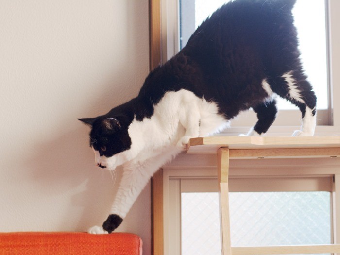 「そろそろ外の眺めはいいや」（小林写函撮影）