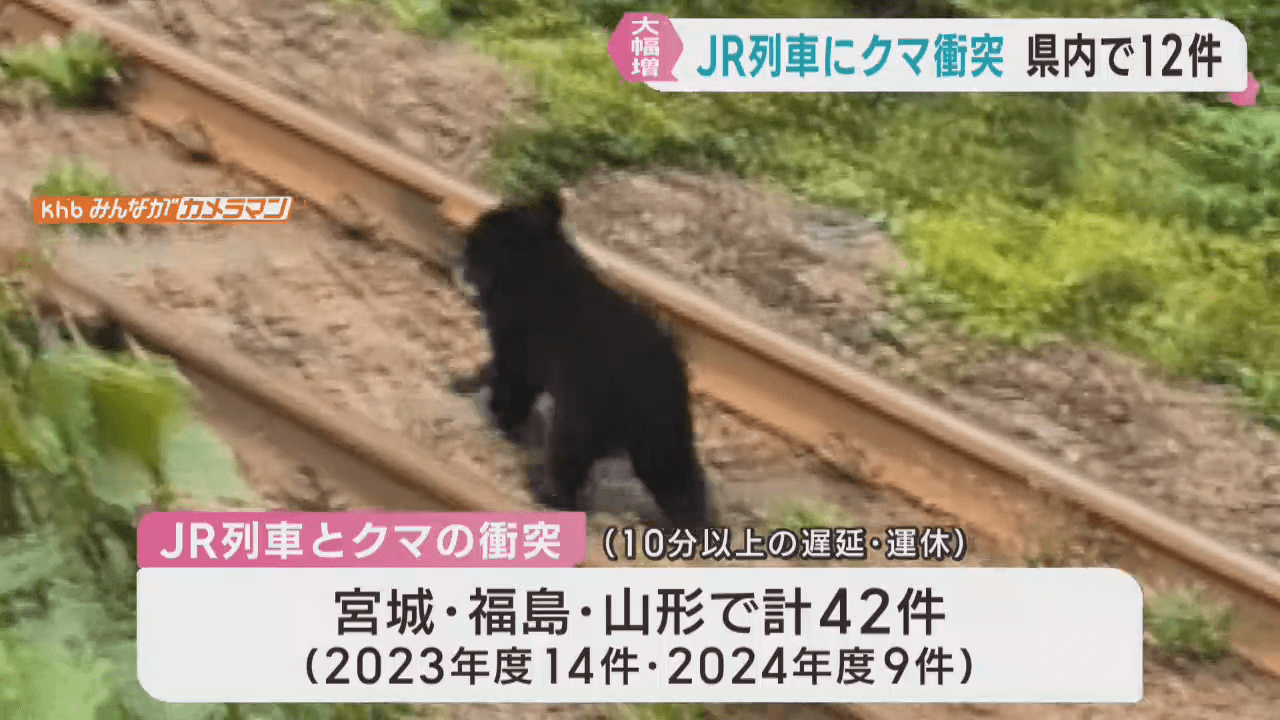 ＪＲの列車がクマと衝突　宮城県で大幅に増加し１２件