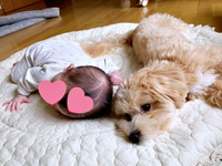 赤ちゃんと添い寝するきぬくん（画像提供：きぬさん）