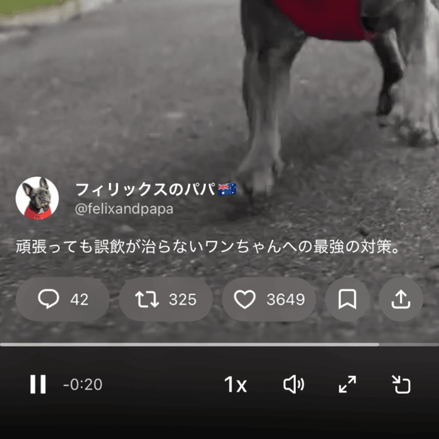 やっと辿り着いた誤飲防止ネット