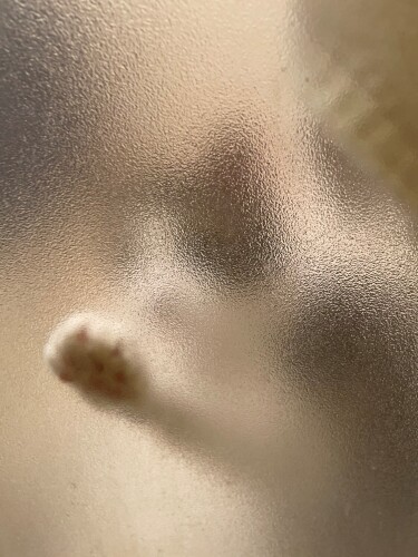 風呂場の磨りガラスをカキカキするジャッキー