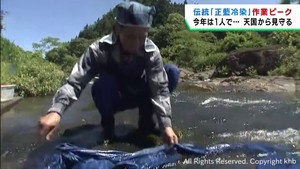 日本最古と言われる染色技法「正藍冷染」の作業が盛ん　宮城・栗原市栗駒