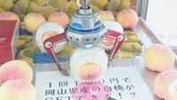 岡山県産の白桃がクレーンゲームの景品に！　「桃キャッチャー」登場