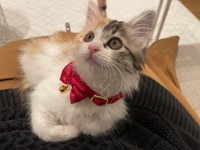 うなぎちゃん（提供写真）