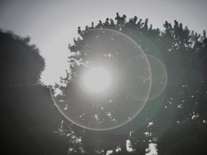 告白直前は「ごめんなさい」確率60％だったのに、付き合って4年目