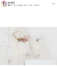 いとくとら(いくら)インスタグラム＠ikr828より