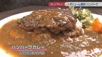 ハンバーグカレー　1500円（サラダ付）