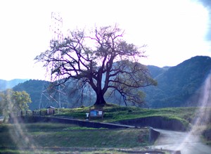 藤巻亮太の旅是好日　「後戻りできなくなるポイント」になる前に