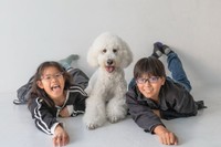 福ちゃんの1歳バースデーを祝うきょうだいフォト（提供：＠fuku.fukudogさん）