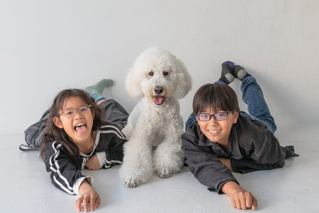 福ちゃんの1歳バースデーを祝うきょうだいフォト（提供：＠fuku.fukudogさん）