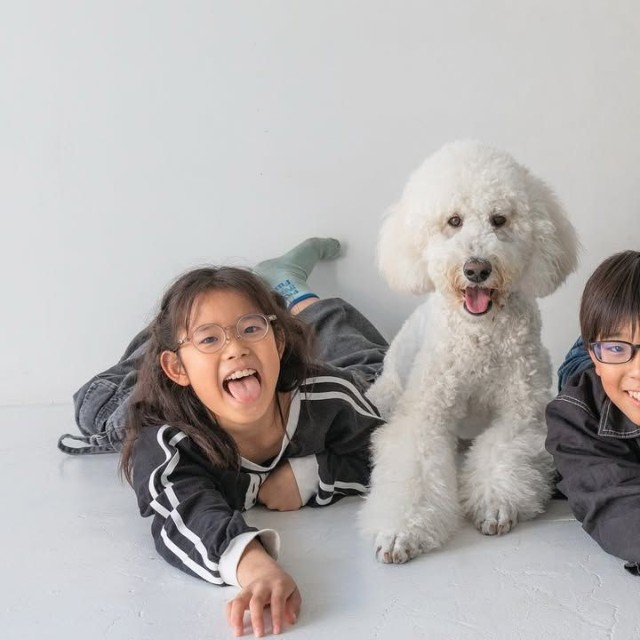 福ちゃんの1歳バースデーを祝うきょうだいフォト（提供：＠fuku.fukudogさん）