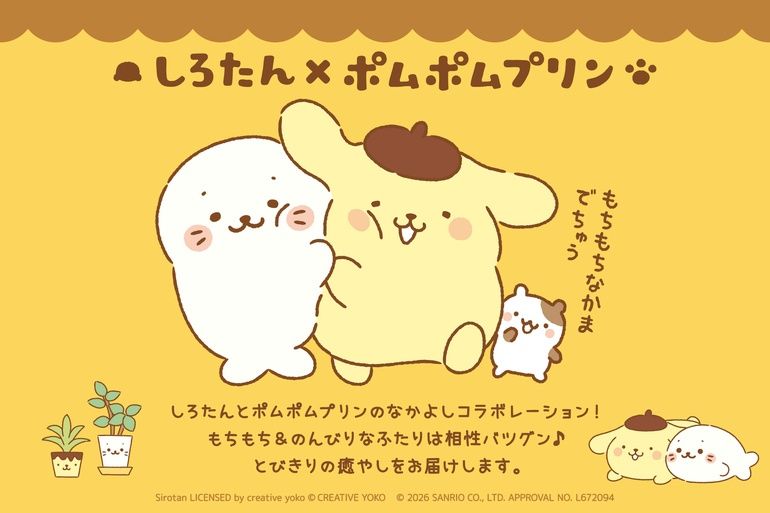 全人類の癒やし」【しろたん×ポムポムプリン】サンリオ王者、夢の初