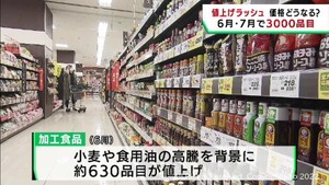 家計を直撃　６月１日から多くの商品が値上げ　７月までに約３０００品目値上げ予定