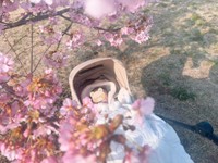 おじいちゃんのアドバイスのもと、再度撮影した写真（ぱやさんXより）