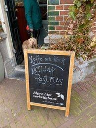 カフェには当たり前のように愛犬も一緒に