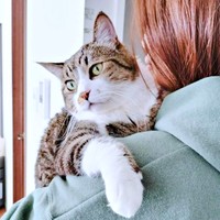 赤ちゃん抱っこされるのが大好きなまめたろくん（画像提供：まめたろさん）