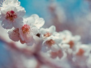 保育園児で自慰を覚えた私は、今もセックスが何か考え続けている