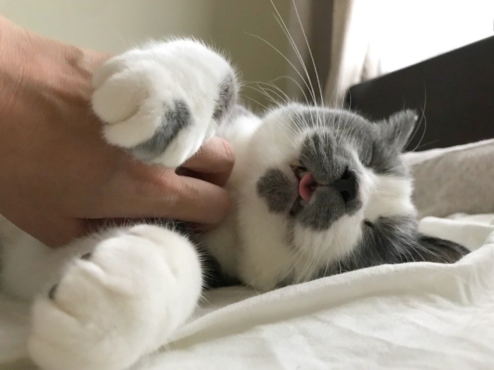 至福のひととき