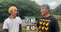 廃鶏として迎え入れた子は「万結（まゆ）」と名付けられた／藤田さん（@-ChickensChannel）提供
