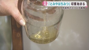 名産とみやはちみつ　今季初の収穫　宮城・富谷市