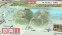 クレーンゲームの景品のキャベツ　オタカラアミューズ 津山店　津山市河辺