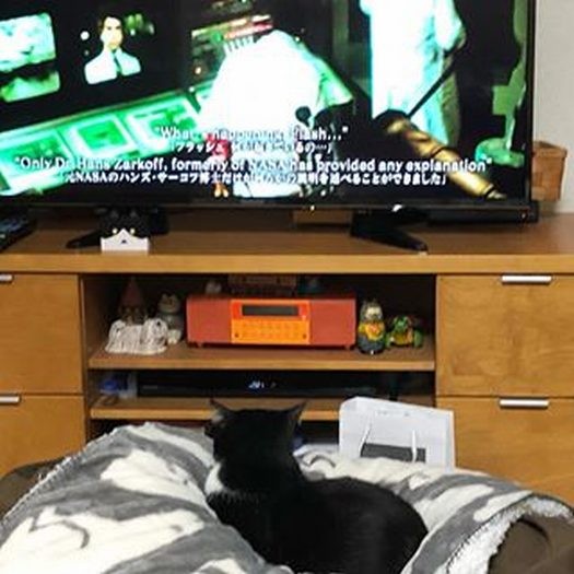 テレビに夢中！