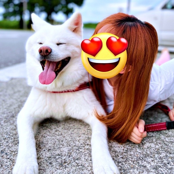 飼い主さんと寄り添って満面の笑みを浮かべるまゆちゃん（画像提供：秋田犬まゆさん）