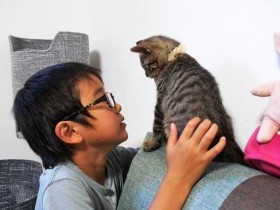 外をさまよい３日３晩大声で鳴き続けた子猫　捜索に加わった少年と家族になる