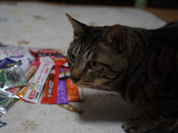 巣ごもりの食材を買う時、猫のおやつも買いこんで…
