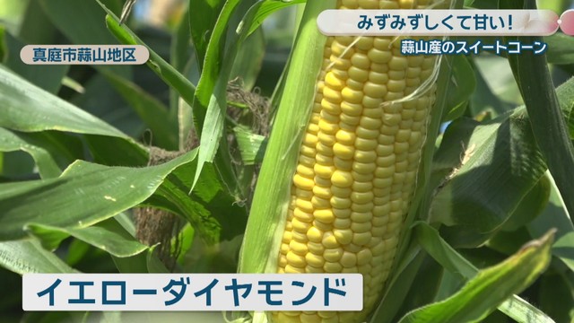 イエローダイヤモンド