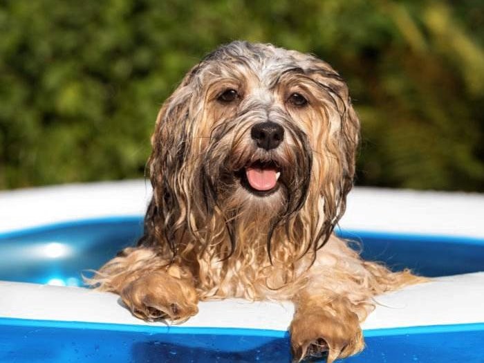 浴槽やプールに水を張っておくと、応急処置にも使える