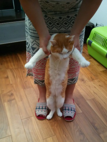 「梵ちゃんを立ててください」の再現写真。当時はもうちょっと小さかったかな…？