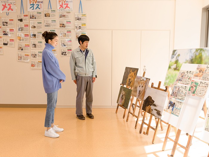 ２階のホールには、犬や猫たちを紹介する写真やカードが飾られていた