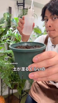土が湿るくらいの水を与える／そらベジさん（@sora_gardenhack）提供