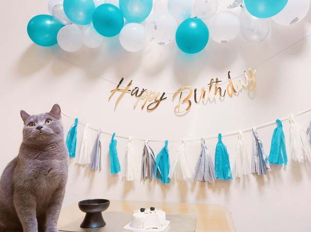 HAPPY BIRTHDAY！ブリオくん＝おいでやすブリオさん（@burio0522）提供