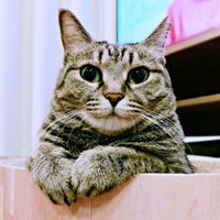 「どうしたの？」と言い出しそうな頼もしさを感じるちあきさん（画像提供：青い人さん）