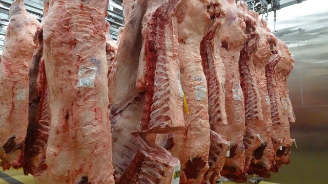 岡山県枝肉共進会　最優秀賞20点　食肉の生産技術の向上めざして　