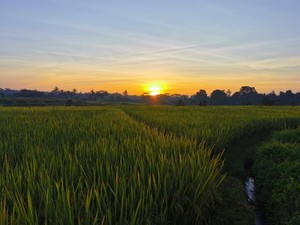 苦い思い出が残る故郷。忘れようとしても、忘れられない思い出の場所
