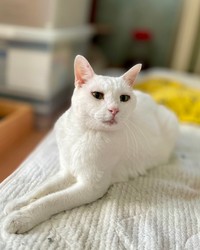 麻酔から覚めて正気に戻った楓ちゃん