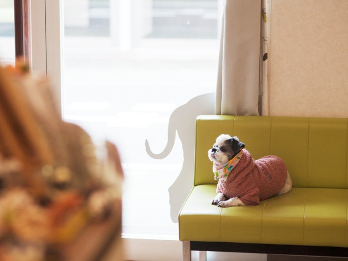「今日は雨降りだから、患者さん少なめね」（小林写函撮影）